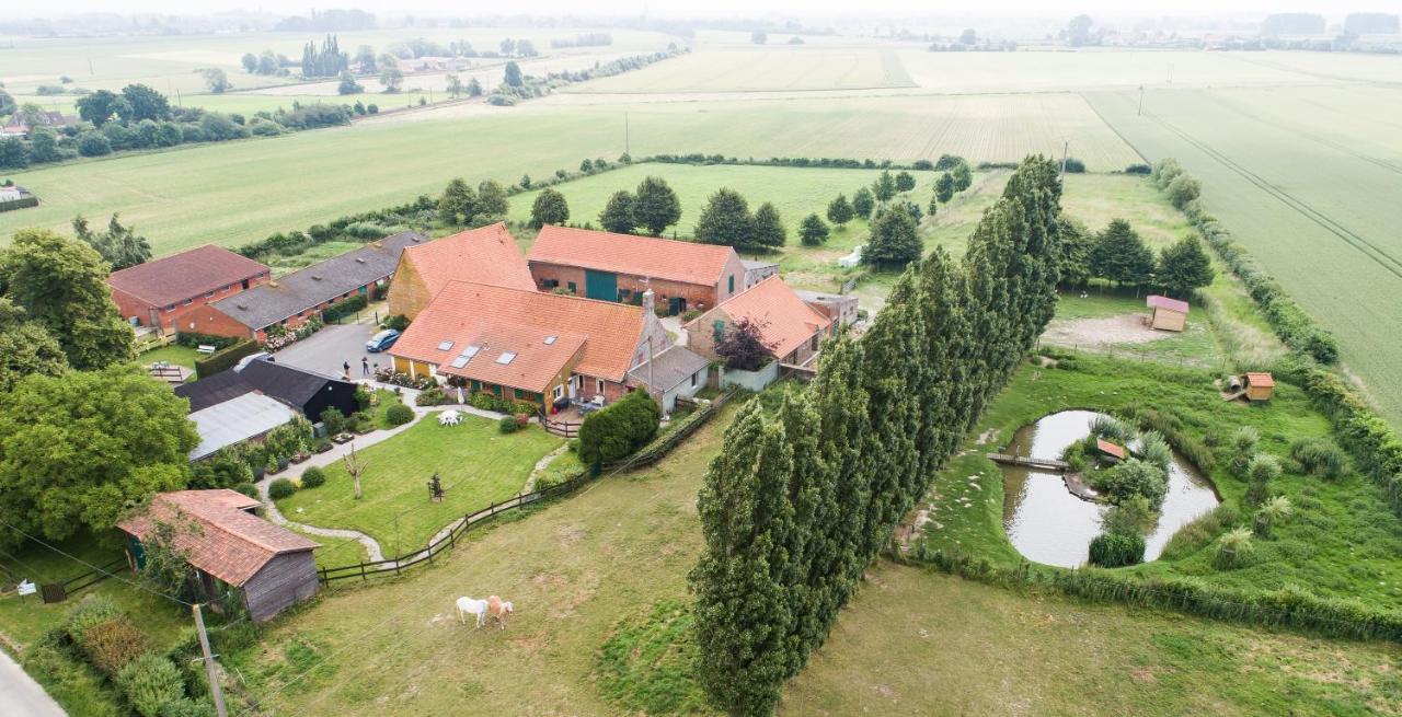 Gite De La Ferme Des Crins Blancs Vila Hazebrouck Exterior foto